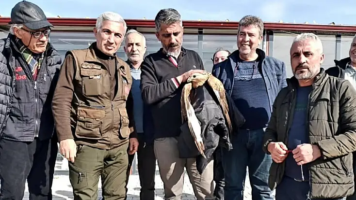 Malatya’da Duyarlı Vatandaşlar Yaralı Kızıl Şahini Kurtardı