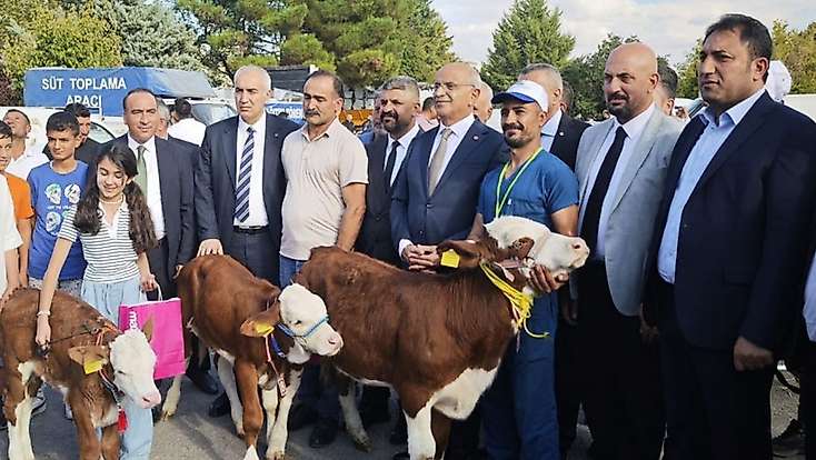 Malatya'da 'En Güzel Buzağı' yarışması düzenlendi