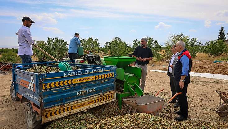Malatya’da Kayısıya Alternatif Ürün: 45 Dönümlük Badem Bahçesinde Hasat Başladı