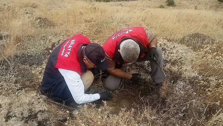 Malatya’da Süne Zararlısına Karşı Kışlak Kontrolleri Sürüyor