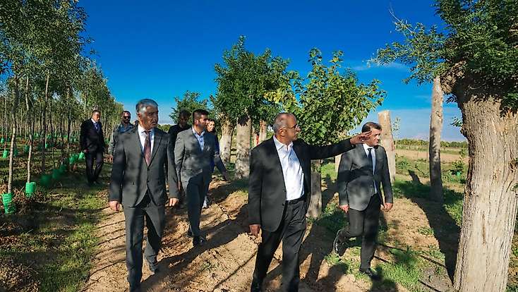 Malatya’nın Ağaçları Koruyan Uygulaması Türkiye Gündeminde!