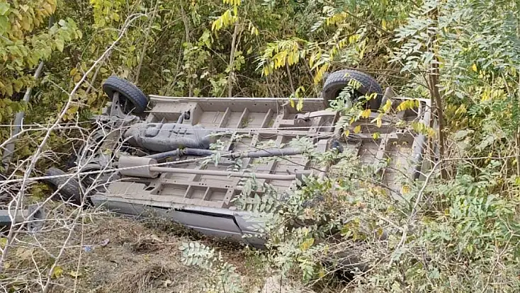 Pütürge Yolunda Trafik Kazası: Minibüs Ağaçlık Alana Devrildi