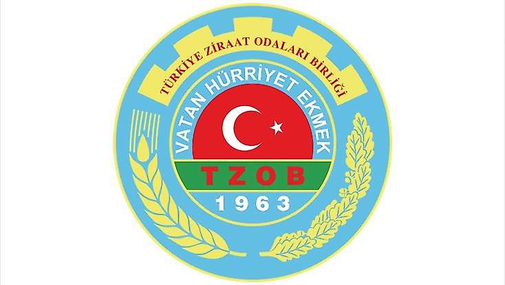 TZOB Açıkladı: Ekim Ayında Limonun Üretici ve Market Fiyatı Arasında Uçurum Oluştu!