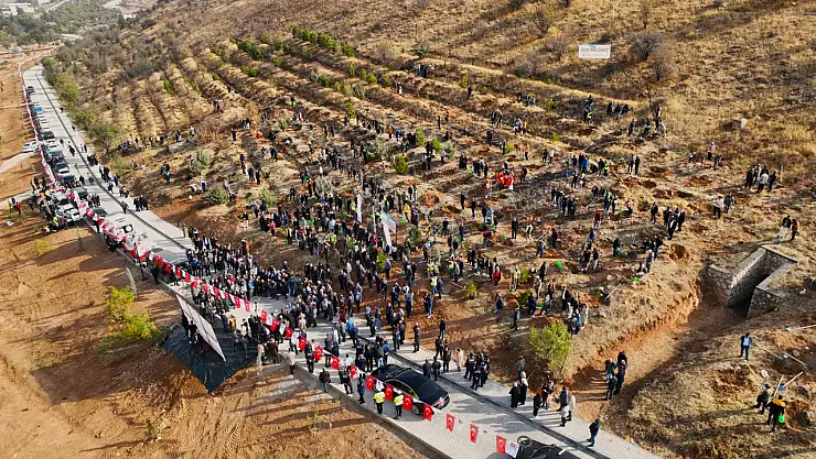 1246 Deprem Şehidi Anısına Oluşturulan Hatıra Ormanı Yenileniyor