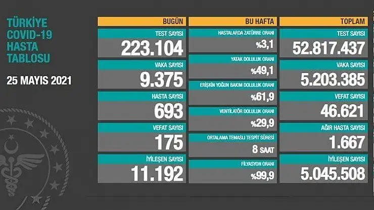 175 kişi Hayatını Kaybetti