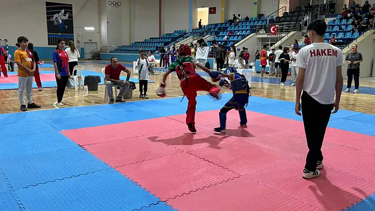 2. Malatya Wushu Kung Fu Bölge Şampiyonası, Malatya Tecde Spor Salonu'nda gerçekleştirildi