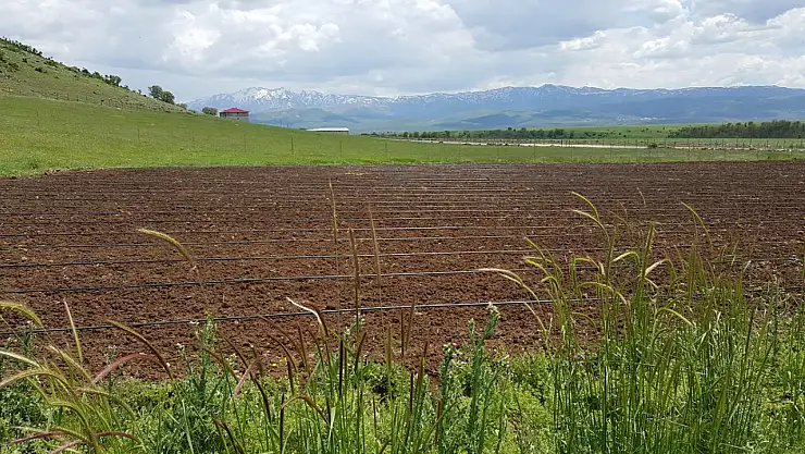 28 ova 'Büyük ova koruma alanı' olarak belirlendi