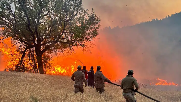 61 orman yangınıyla ilgili 23 kişi gözaltına alındı, 4'ü tutuklandı