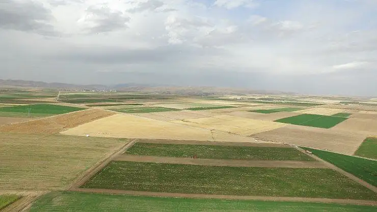 83 Milyon Liralık Ürün Hasadı Çiftçilerin Yüzünü Güldürdü.