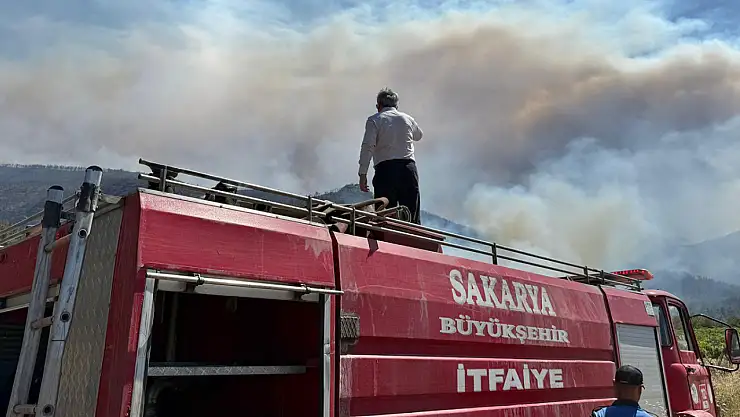 Alevlerle mücadele 4'üncü gününde: 4 il alarmda