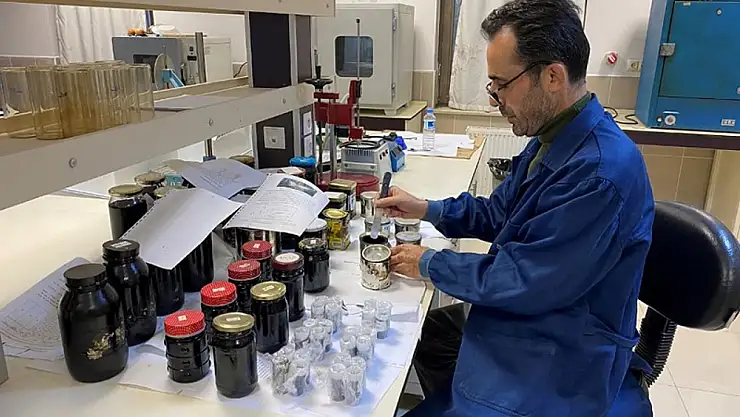 Asfalt katkısına dönüştürülen atık küllerinin doğayı kirletmesi önleniyor