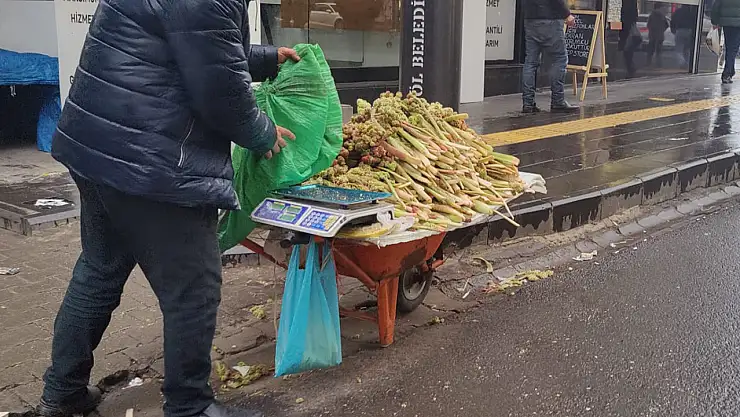 Baharın Müjdecisi 'ışkın' tezgahlarda yerini aldı
