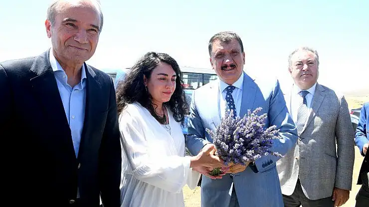 Başkan Gürkan Lavanta Hasadına katıldı