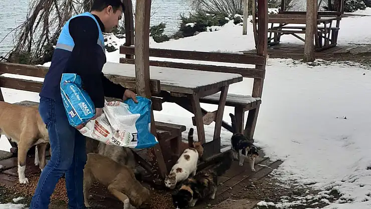 Battalgazi Belediyesi Can Dostlarımızı Unutmuyor