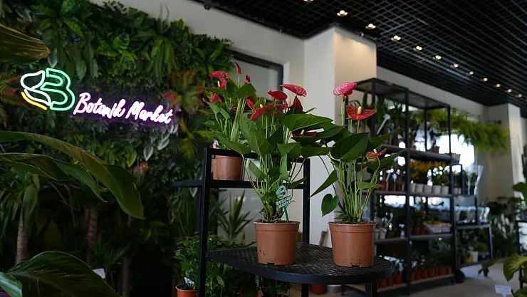 Battalgazi'de Yeşil Alan Atağı Sürüyor