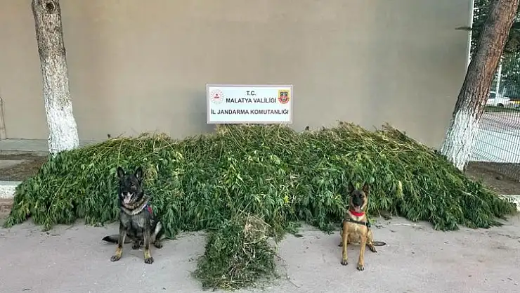 Battalgazi İlçesi Fırıncı Mahallesine uyuşturucu operasyonu