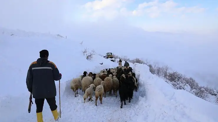 Beydağı'nı Aşan Battalgazi Belediyesi Ekipleri, Üretici Ve Hayvanlarını Kurtardı