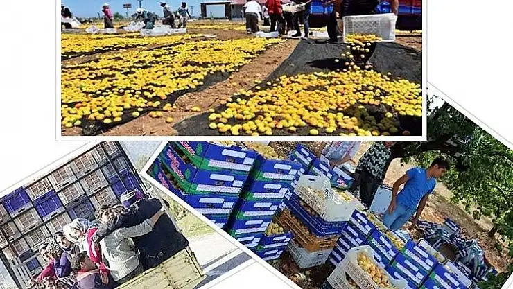 Mevsimlik İşçi Taşıma Kuralları