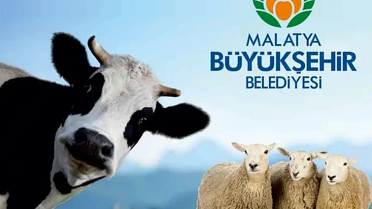 Kurban Kesim Kursu Başvuruları Cuma Günü Sona Eriyor