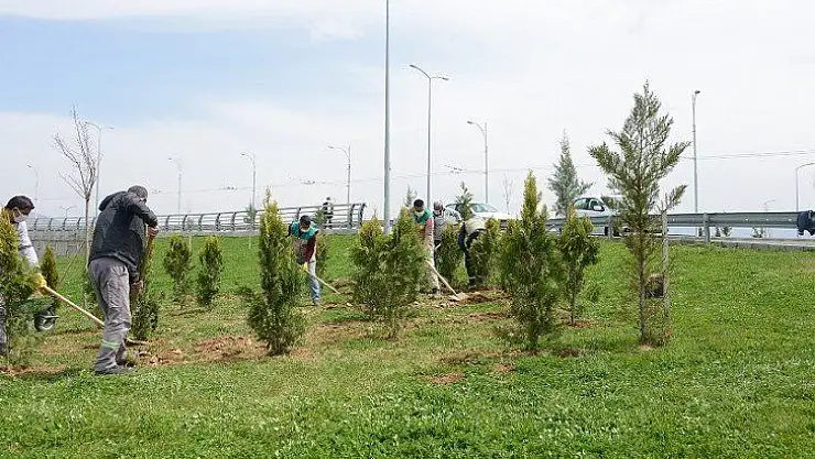 Büyükşehir Belediyesi Parkları Ve Refüjleri Yenileniyor