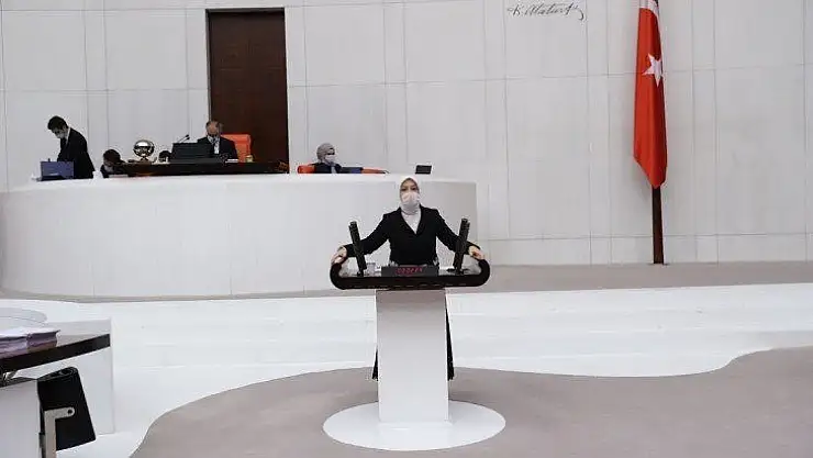 Çalık TBMM Genel Kurulunda konuştu