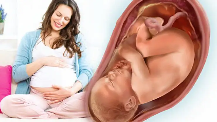 Canlı doğan bebek sayısı 1 milyon 79 bin 842 oldu