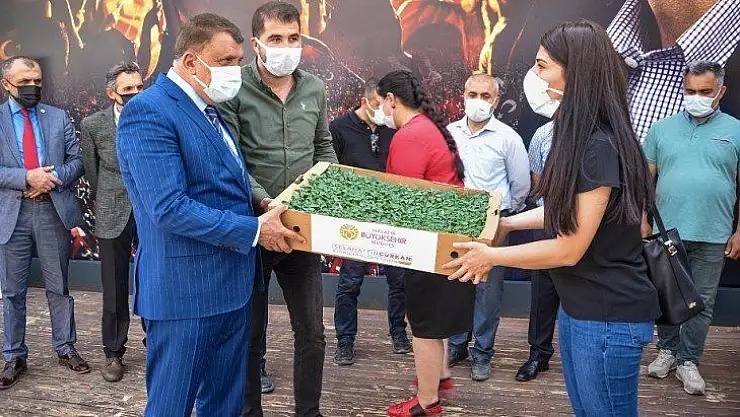Çiftçilere Büyükşehir Belediyesinden Sebze Fidesi Desteği