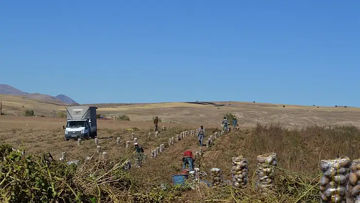 Çiftçilere tarımsal destekleme ödemesi yapıldı