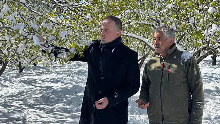 Çiftçilerin yıllık emeği bir gecede yok oldu