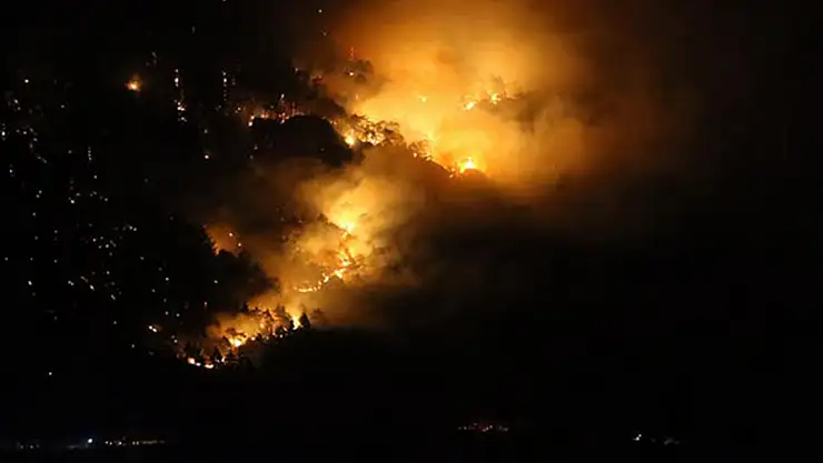 Denizli'de orman yangını rüzgarın etkisiyle yayılıyor