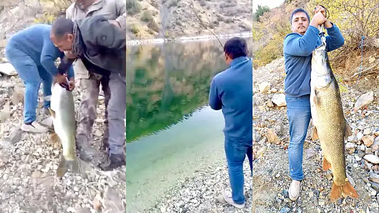 Dev Balık Doğanyol'da Oltaya Takıldı: 32,7 Kiloluk Sürpriz