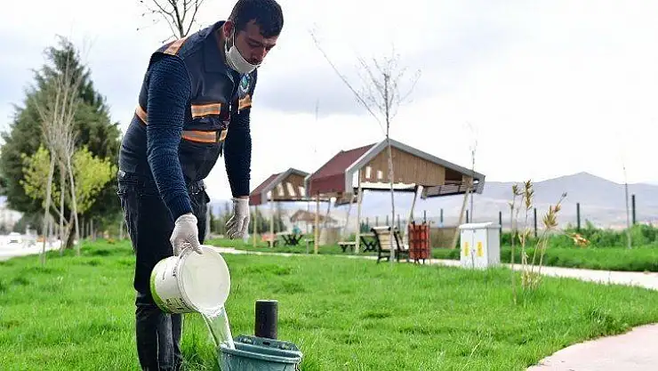 Doğada Yaşayan Tüm Canlılara Sahip Çıkmak Gerekiyor