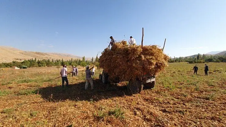 Doğanşehir fasulyesi Esenlik Süpermarketler'de