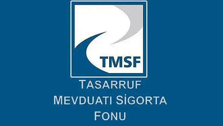 Dolandırıcılık ve Kara Para Aklama İddiaları: Can Holding 121 Şirketle TMSF'de