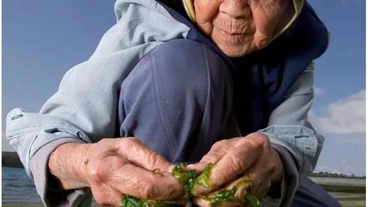 Dünyadaki Uzun Yaşam 'Blue Zones'  Mavi Bölgelerin Ortak Sırrı !