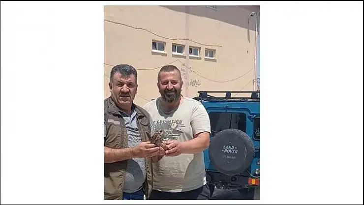 Duyarlı Vatandaş yaralı Baykuşu Doğa Koruma'ya teslim etti