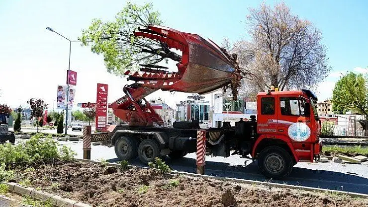 Elazığ Belediyesi'nden Yeşile Saygı