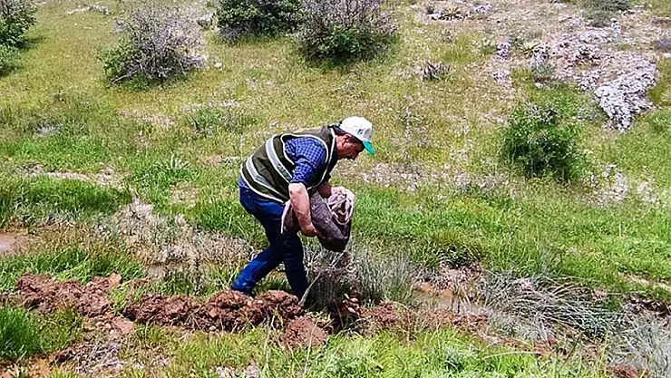Elazığ'da 98,5 kilogram salep soğanını kaçak toplayan 4 kişi yakalandı
