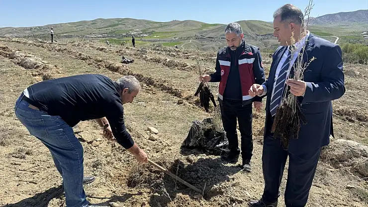 Elazığ'da Amerikan tuz çalısı ile mera ıslah çalışması yapıldı