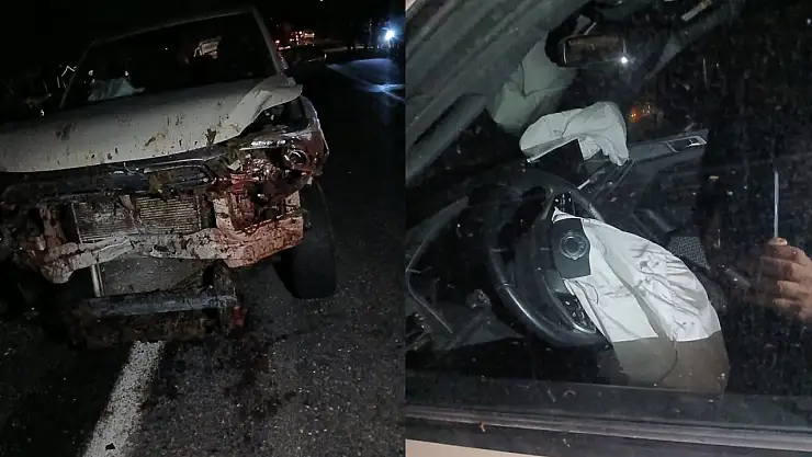 Elazığ Karakoçan'da Kaza: 30 Küçükbaş Hayvan Telef Oldu