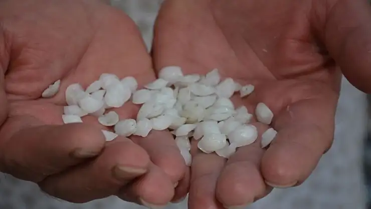 Eşkina Balığı Taşı Mucizesi mi, Yoksa Halk Arasında Yaygın Bir Efsane mi?