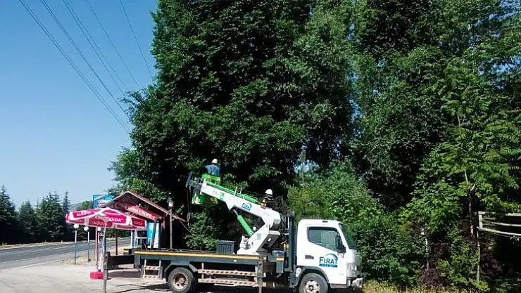 Fırat Edaş'tan Ağaç Kesme Ve Budama Uyarısı