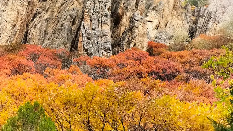 Foto Kültür Kursu ile Malatya'nın Güzellikleri Kadraja Girdi
