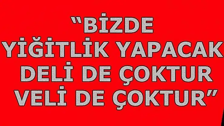 'Bizde Yiğitlik Yapacak Deli De Çoktur, Veli De Çoktur'