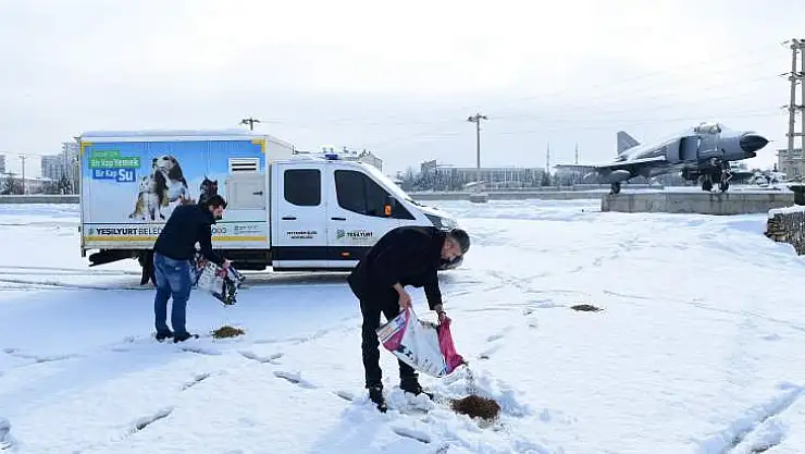 Canlıları Sevmek ve Kollamak İnsani Bir Sorumluluktur