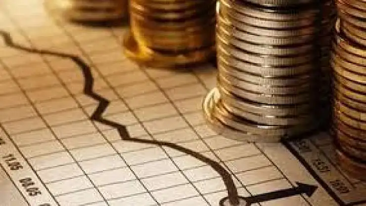 Yurt İçi Üretici Fiyat Endeksi