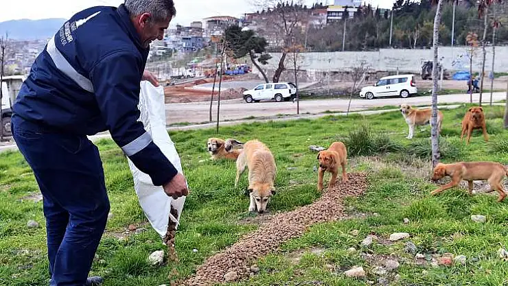 Can dostları unutmadık