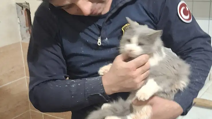 Havalandırma Boşluğuna Düşen Kedi, Titiz Operasyonla Kurtarıldı