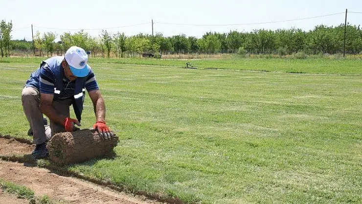 Hazır rulo çim serim çalışmaları sürüyor