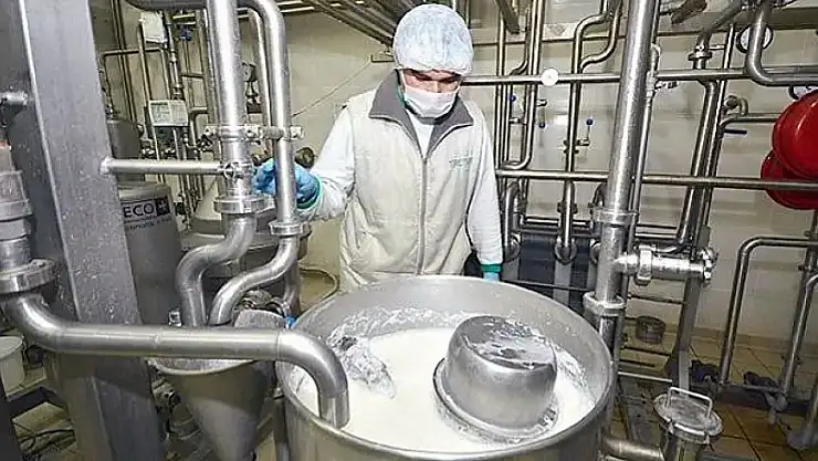 Haziran'da İnek Sütü Toplama ve Üretimde Artış, Ancak Aylık Bazda Düşüş